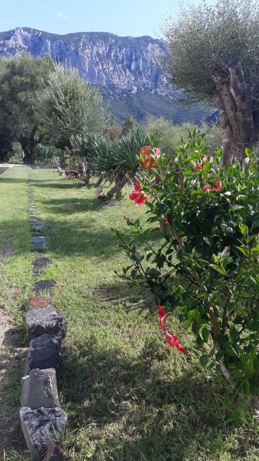 De Serra Country Vakantieboerderij Onifai