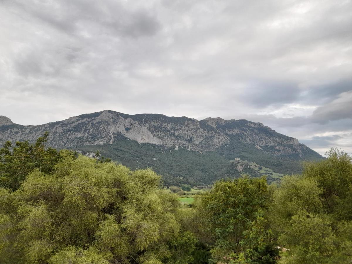 De Serra Country