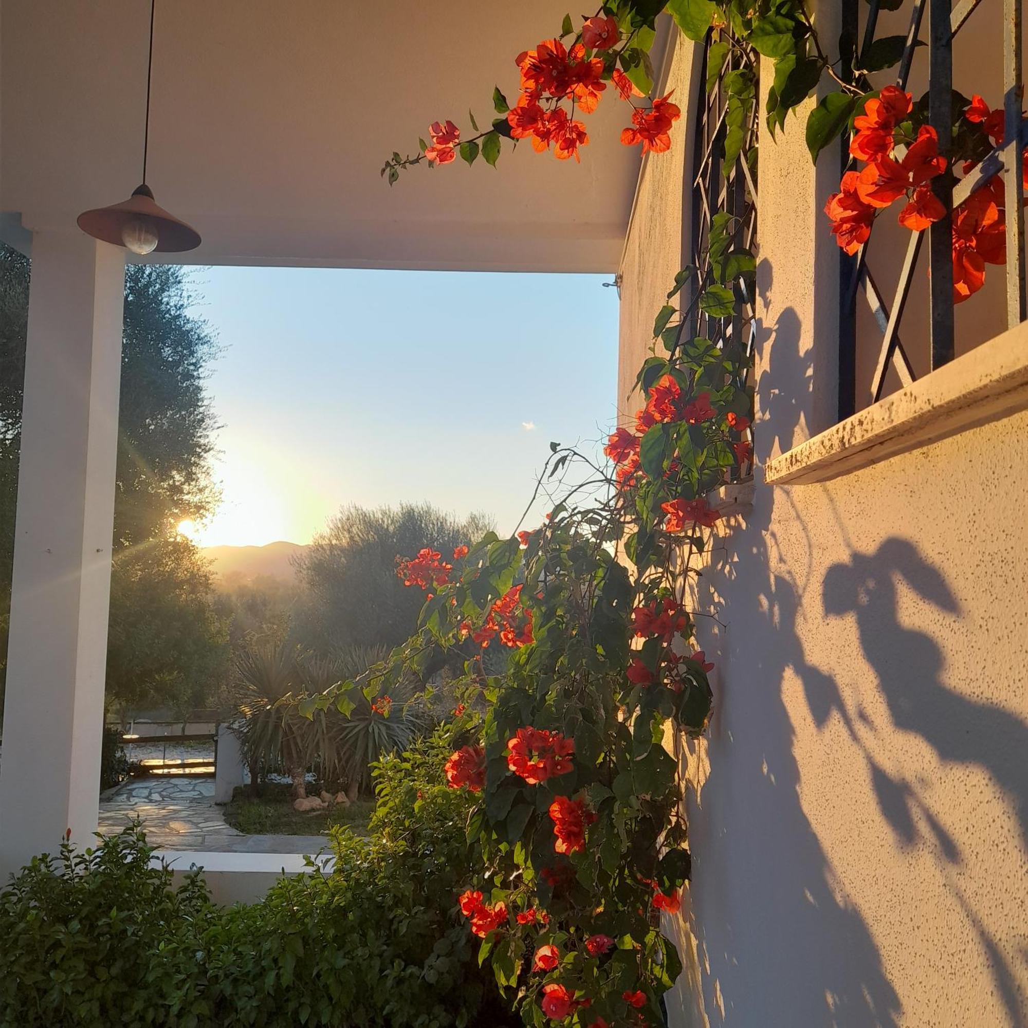 Farm stay De Serra Country