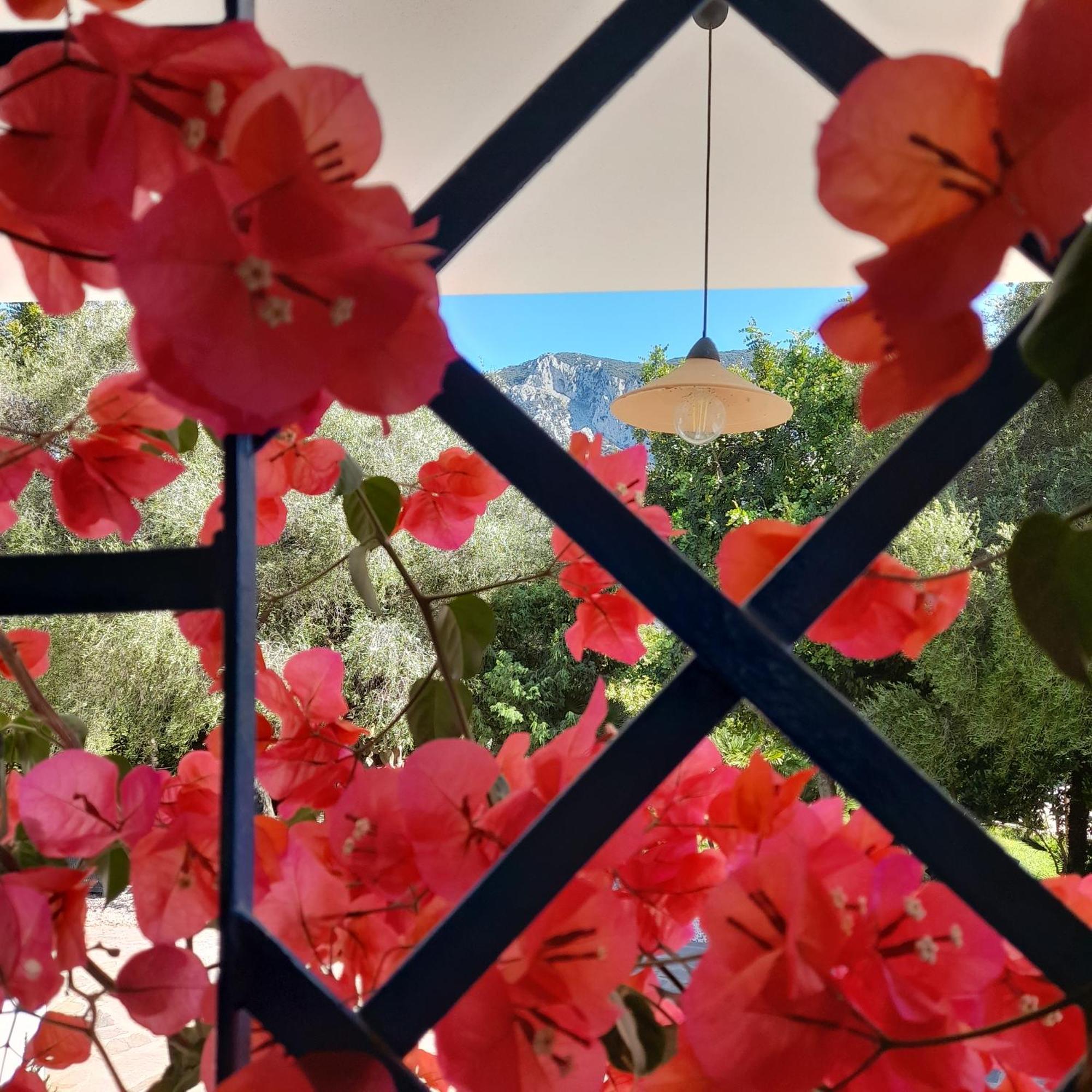 Farm stay De Serra Country